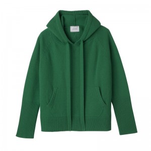 Longchamp Hoodie Jumper Grün | 6432078-LB
