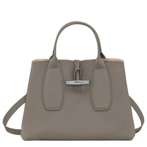 Longchamp Le Roseau M Handbag Turtledove | 8630415-RN