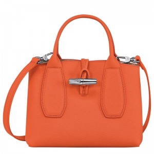 Longchamp Le Roseau S Handbag Orange | 1034785-SW
