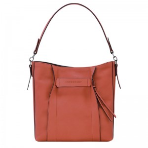 Longchamp Longchamp 3d M Hobo Bag Sienna | 8932074-PB