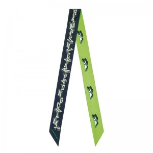 Longchamp Longchamp University Headband Grün | 7129683-QE
