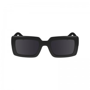 Longchamp Sunglasses Schwarz | 5643918-JB